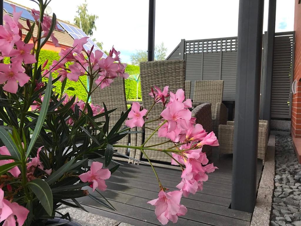 Apartament Haus Im Gruenen Heringsdorf Zewnętrze zdjęcie