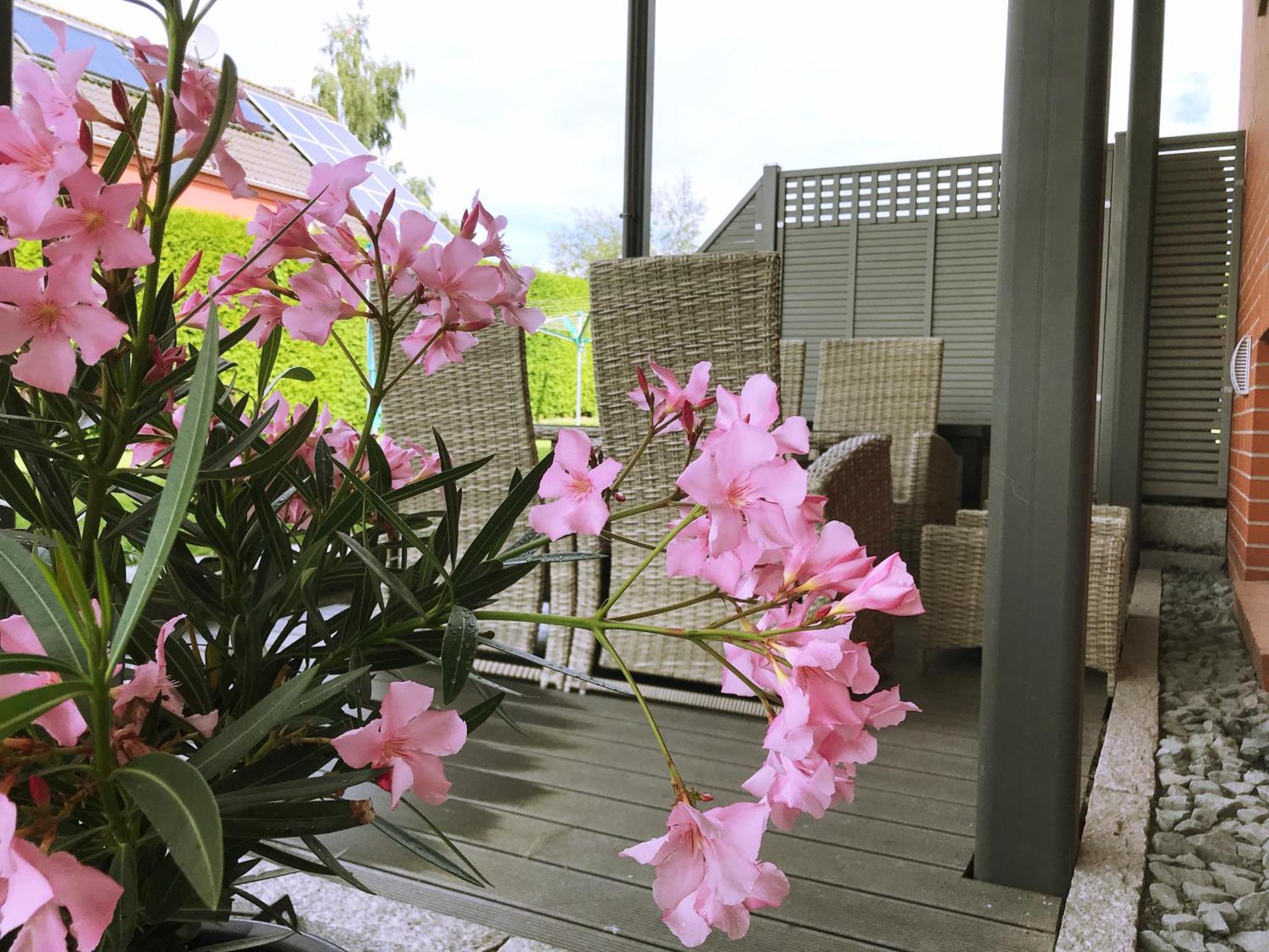 Apartament Haus Im Gruenen Heringsdorf Zewnętrze zdjęcie